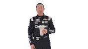 Kyle Busch Popcorn Sticker by Richard Childress Racing