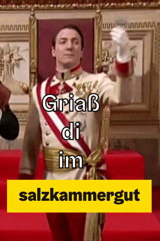 Excited GIF by Salzkammergut