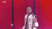 shawn michaels wrestling GIF by WWE