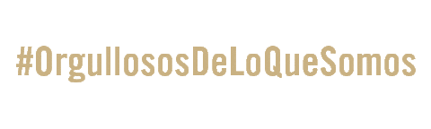 Orgullososdeloquesomos Sticker by DYC