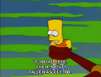 bart simpson episode 6 GIF