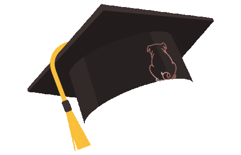 DesignstuuvWerbeagentur giphyupload design puppy university Sticker