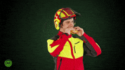 mrsalzburg work job mr jobs GIF