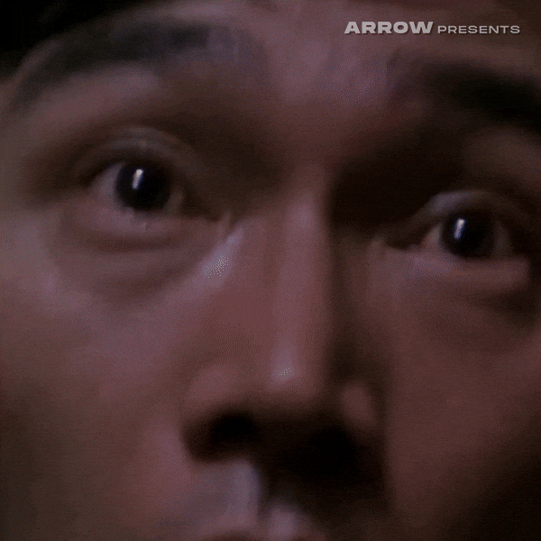 Peter Ho-Sun Chan Horror GIF by Arrow Video