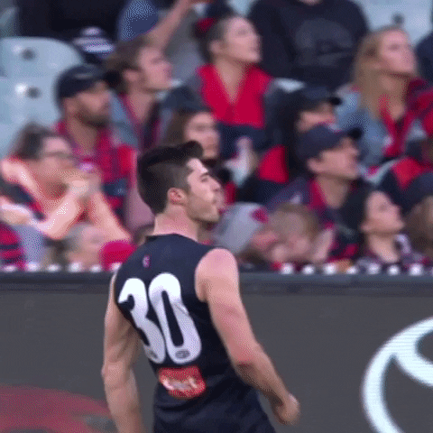 let's go love GIF by Melbournefc