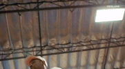 nutsandbolts jumping viceland tyler the creator trampoline GIF