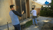 Art Living GIF by MolaTV