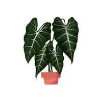 Houseplant Indoorplant Sticker