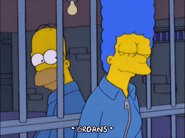 homer simpson episode 21 GIF