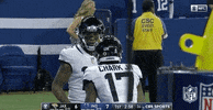 Celebrate 2018 Nfl GIF by NFL