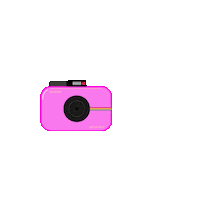 fotofestin fotografia camara cubiertos fotofestin Sticker