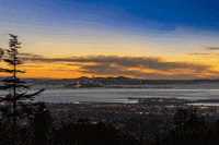 blackbook_international  GIF