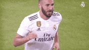 La Liga Sport GIF by Real Madrid