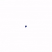 World Cup Football GIF by Panini America