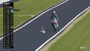 Save Motorcycle Racing GIF by MotoGP™