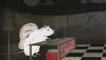 season 1 cats GIF by Animals