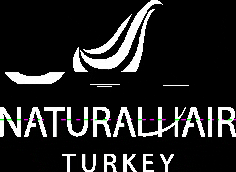 naturalhairturkey giphygifmaker GIF