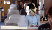 office barnaby GIF by Justin