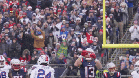 Mack Hollins Football GIF by New England Patriots