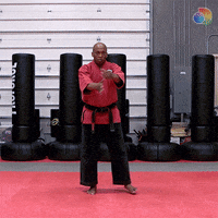 Martial Arts Fighting GIF by discovery+
