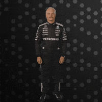 Formula One Yes GIF by Mercedes-AMG Petronas Formula One Team