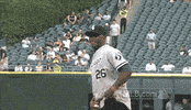 cws GIF by MLB