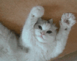 bye bye GIF