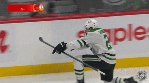 Happy Dallas Stars GIF by NHL