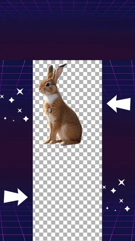 Creative GIF