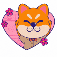 Dog Appreciate GIF by KOL.ID