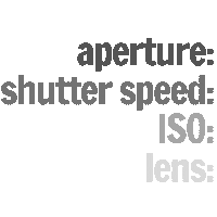 Iso Settings Sticker by EmilieSmith