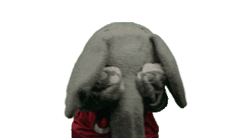 Alabama Football Ua Sticker by The University of Alabama