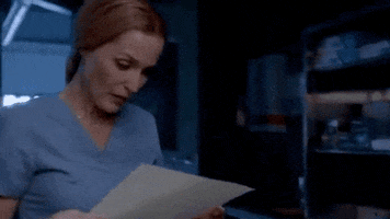 gillian anderson GIF by The X-Files