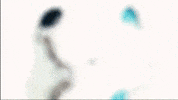 Y2K GIF by Respective