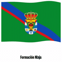 Flag Spain GIF by Formación Ninja