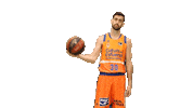 Liga Endesa Basketball Sticker by ACB