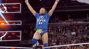 Summerslam 2018 Reaction GIF by WWE