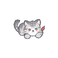Cat Meow Sticker