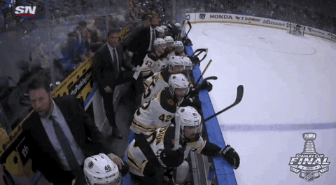 celebrate ice hockey GIF by NHL