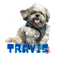 Smiling Dog Sticker