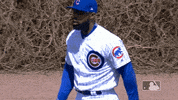 chicago cubs hug GIF by MLB