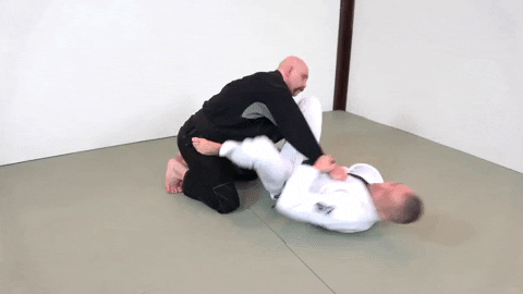 ritchieyip giphygifmaker armbar spider guard GIF