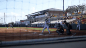 usssapride softball fastpitch usssa npf GIF