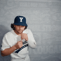 Celebration Byu Baseball GIF by BYU Cougars