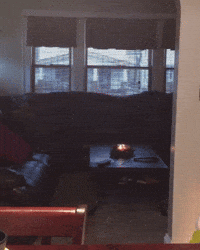 Ai Yolo GIF