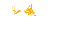 Cat Hello Sticker