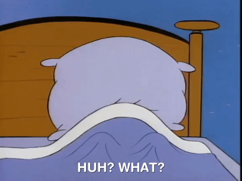 ren and stimpy nicksplat GIF