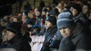 YorkCityFC ycfc yorkcityfc york city york city fc GIF
