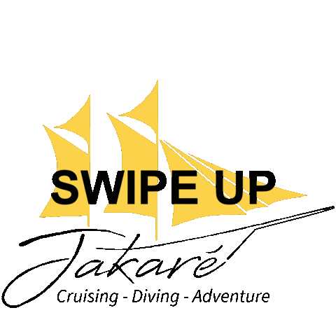 Jakare_Liveaboard giphyupload giphystrobetesting swipe up jakare Sticker