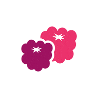 Raspberry Sticker by Polar Seltzer